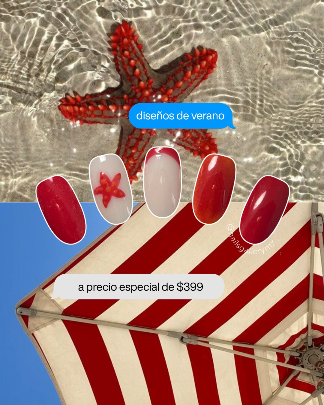 Diseño Verano 7 — Estrellas de Mar Rojas